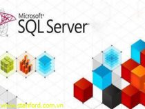 Các ràng buộc toàn vẹn dữ liệu trong SQL Server